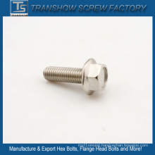 Stainless Steel Large Flange Head Screw